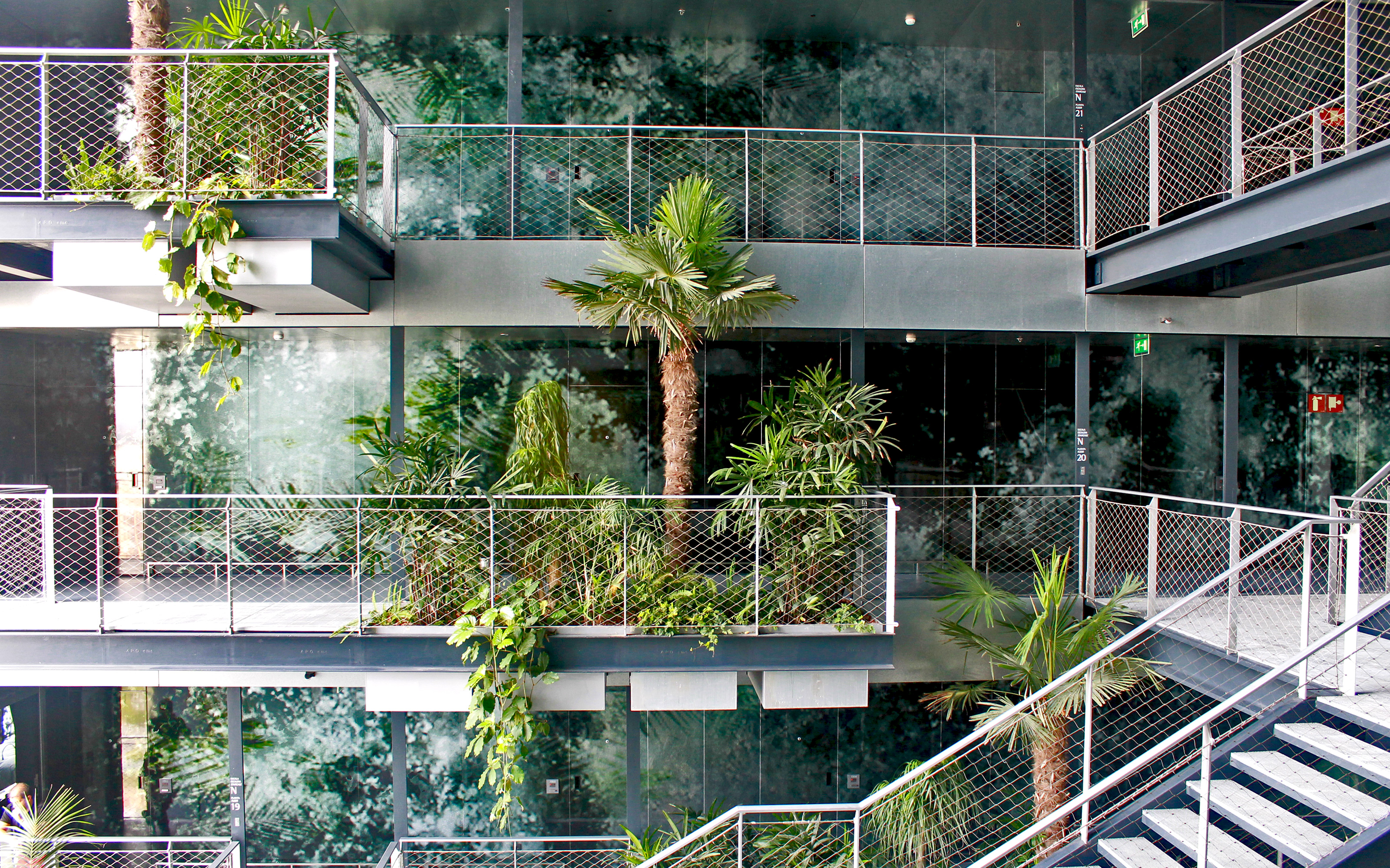 Un vestíbulo con palmeras y plantas tropical