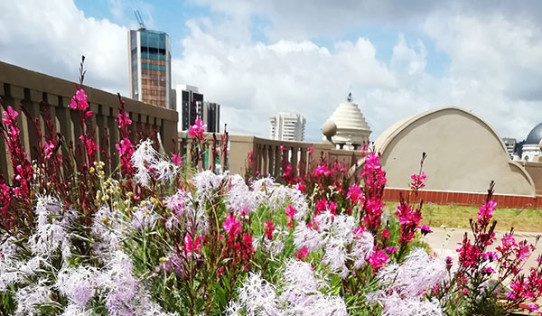 Cubierta jardín