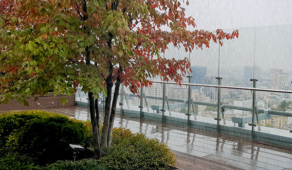 Cubierta jardín bajo la lluvia