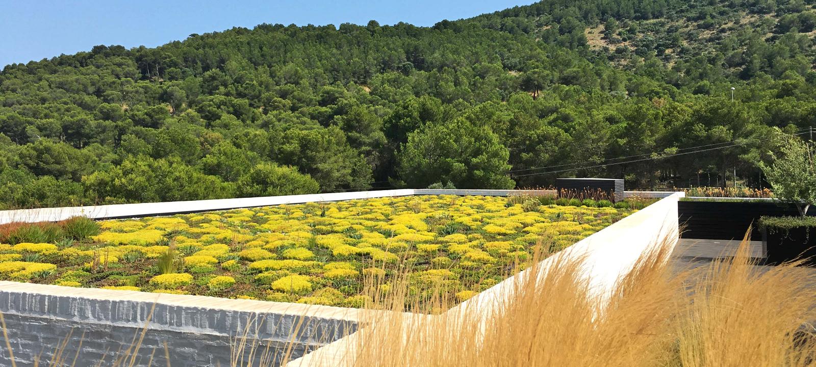 La cubierta ecológica tipo "Sedum tapizante"