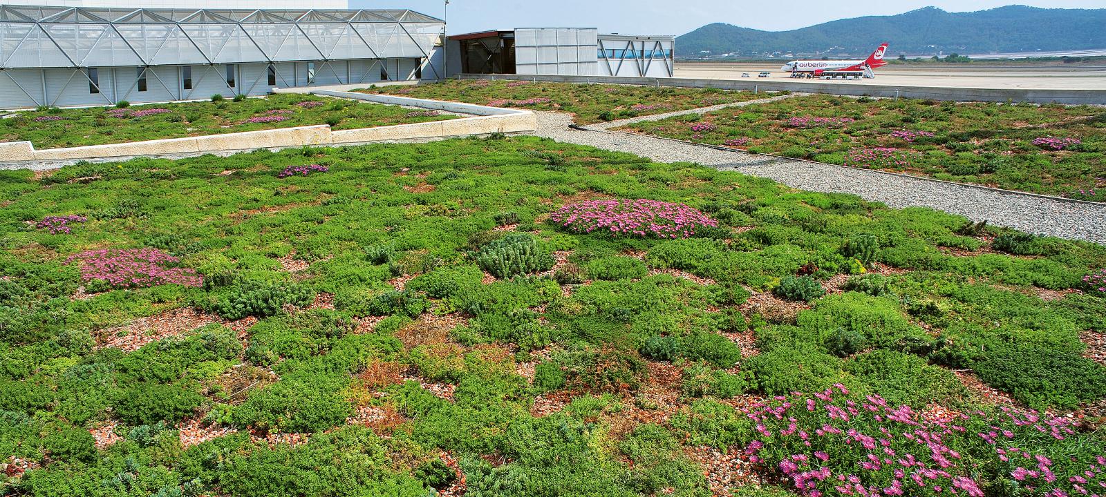 La cubierta ecológica