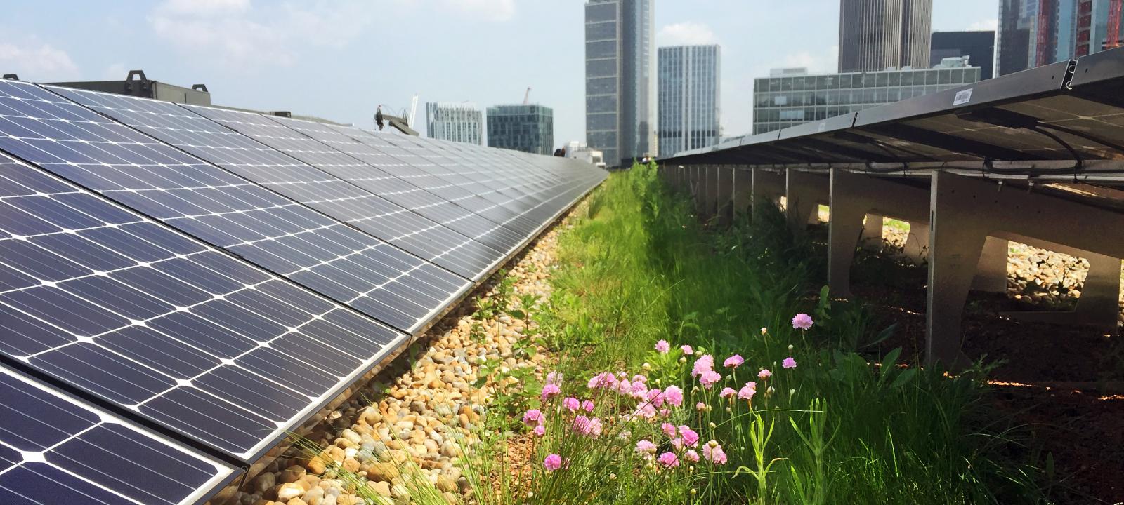 Energía solar sobre la cubierta verde