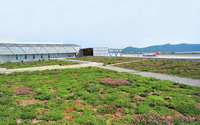 Vista parcial de la cubierta con la plantación de tipo extensiva.
